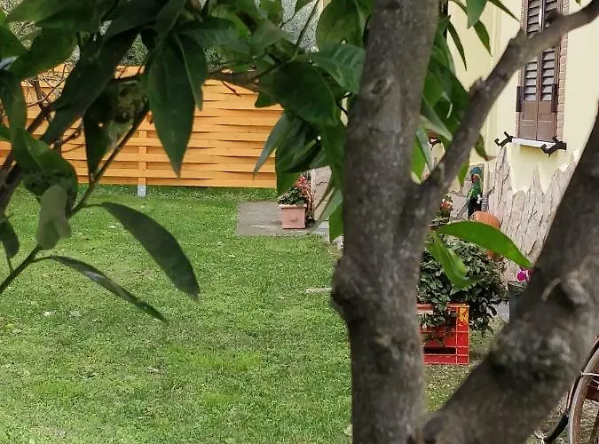 Clarissabeb Fiumicino